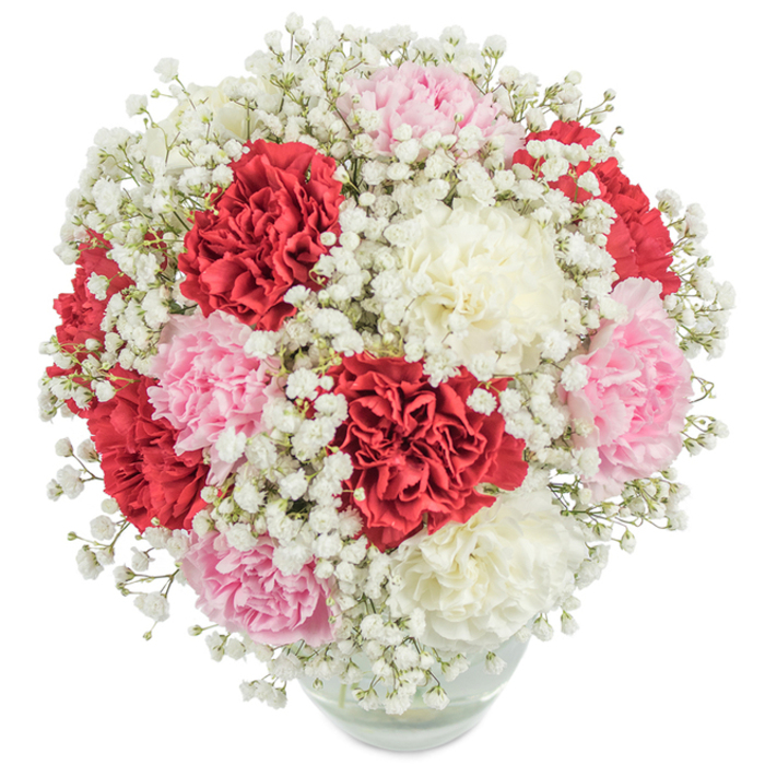 Evoking the refined beauty of Sydenham Hill's leafy avenues, this exquisite floral bouquet captures attention with its array of lush, ruffled carnations in vivid red, pastel pink, and creamy white. Crafted in the round, each carnation is set closely with its companions, their multi-textured petals inviting a lingering gaze. Dancing throughout the composition, pure white baby's breath infuses a breezy, light-as-air contrast-a gentle mist that softens the vibrancy of the main blooms, reminiscent of the tranquil mornings along Sydenham Hill's gardens. Nestled within a simple, transparent glass vase, thick green stems and clear water ground the arrangement, providing a subtle glimpse of nature's underlying order. The strong, even daylight highlights every nuance of the flowers' fresh colour and soft details, creating an inviting sense of warmth and welcome. Apt for both momentous occasions and everyday gestures of kindness, this bouquet stands as a testament to the care, artistry, and tradition synonymous with Sydenham Hill Florist.